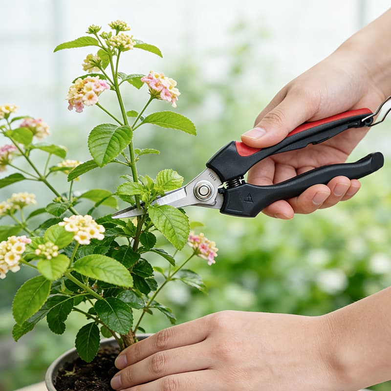 Professional Pruning Shears Solutions
