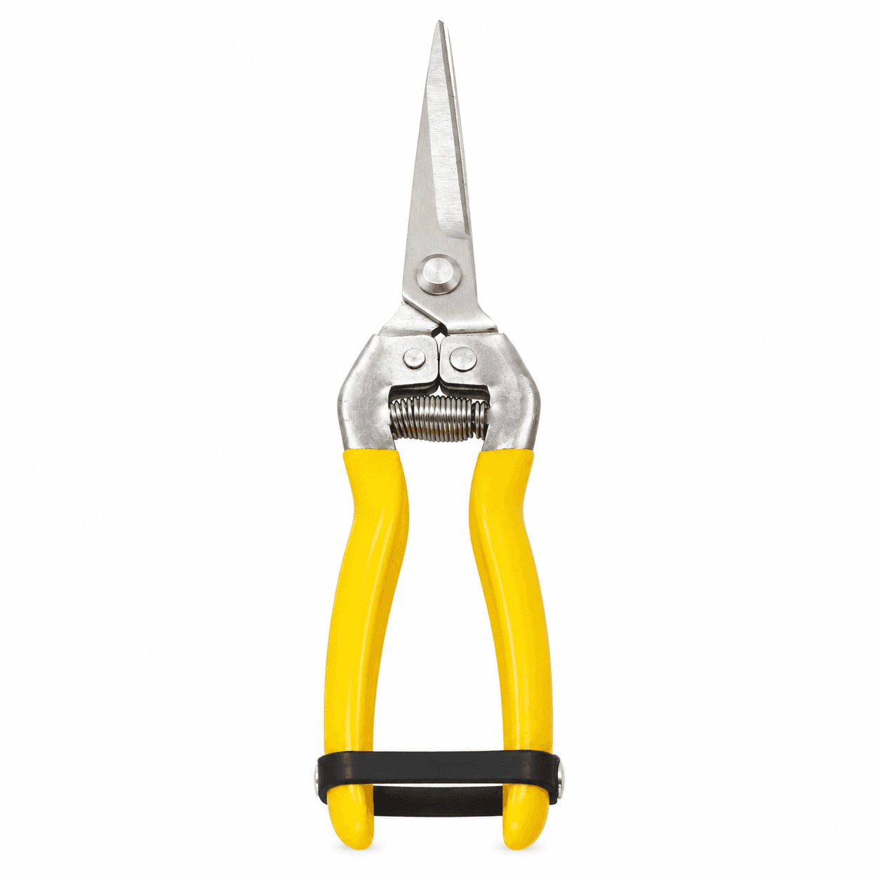 WD001 Mini Gardening Secateurs Carbon Steel | Sunwellco Tools